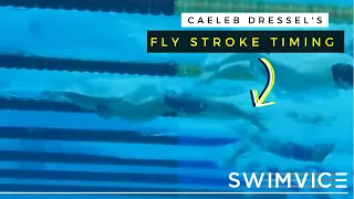 Caeleb Dressel's Butterfly Stroke Timing