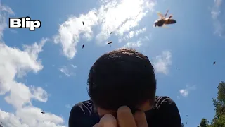 Couple Captures Terrifying Video of Massive Bee Swarm Attack