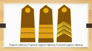 1940 год. Знаки различия армии Румынии