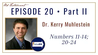 Come Follow Me : Numbers 11-14 ; 20-24 -- Part 2 : Dr. Kerry Muhlestein