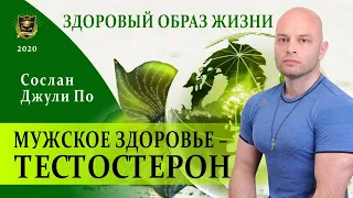 НУМЕРОЛОГИЯ | ЗДОРОВЫЙ ОБРАЗ ЖИЗНИ | Мужское здоровье - ТЕСТОСТЕРОН Джули По и Сослан