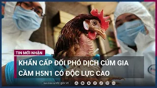 Khẩn cấp đối phó dịch cúm gia cầm H5N1 có độc lực cao | VTC Now