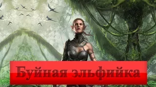 Divinity: Original Sin 2. Буйная эльфийка; #1