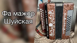 Фа Мажор гармонь Шуйская продажа