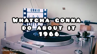 Erkin Koray - Watcha Gonna Do About It / 1966 (Orjinal Plak Kaydı)