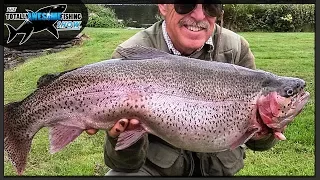 Stalking Monster Trout - I Caught a GIANT
