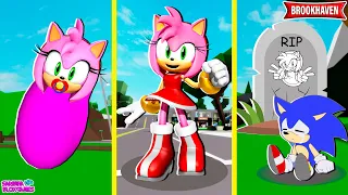 CICLO DE VIDA DA AMY ROSE - BROOKHAVEN 🏡 RP | Roblox