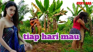 datang lagi suku mante lagi aanu sama gadis desa llmante/bunian