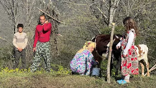 Installing a Manger inside the Calves' Tent and Making a door for the Nomadic Tent