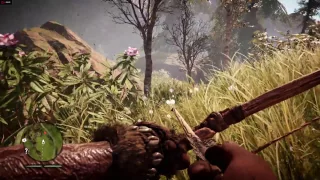 Far Cry Primal - FX 6300 + RX 480 4GB Ultra 1080p