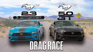 Mustang Showdown: 2023 EcoBoost vs. 2023 GT