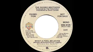 1979 Doobie Brothers - What A Fool Believes (mono radio promo 45)