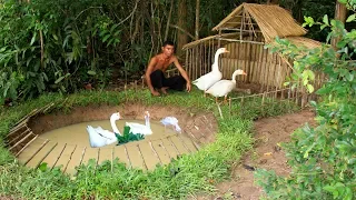 Build Swimming Pool For Goose Around Underground House