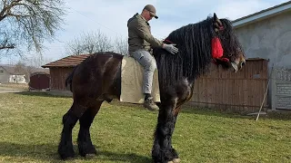 🔔🔥ДОБРИНЯ🧑‍💻 в один день📖🚜 на двох уроках🚧🏇