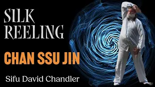 Sifu David Chandler | Presentation on Silk Reeling Exercise and Application