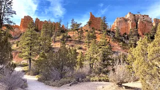 📹 4K HDR 60FPS | 🚶 Mossy Cave Full Hike | 🌋 Bryce Canyon National Park | 🇺🇸 United States
