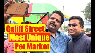 Galiff Street | Pet Market | Aquarium Market | Nature Aquarium Goods | Mayur Dev Aquascaper  4K