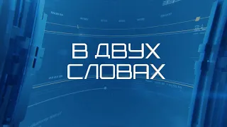 Своё ТВ. Рубрика. В Двух словах