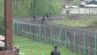 Иркутский ипподром. Приз в честь работников сельского хозяйства. Рысаки 3х лет