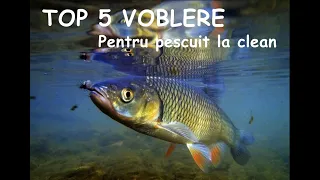 Top 5 voblere pentru pescuit la clean,cele mai bune voblere pentru pescuit 2023 pescuit pe salbatic