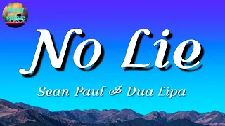 🎵 Sean Paul, Dua Lipa - No Lie || Sia, Troye Sivan, Miley Cyrus (Mix Lyrics)