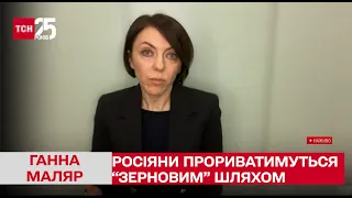 Маляр: ворожі кораблі не будуть заходити, а в разі провокації, "Нептуни" і "Гарпуни" дадуть відсіч