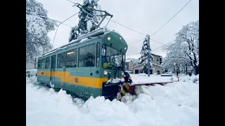 Cargo Tram Zürich | Schneepflug | Führerstandsmitfahrt