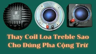 Thay Coil Loa Treble Tưởng Dễ, Nhưng Không Dễ Đâu Các Bác