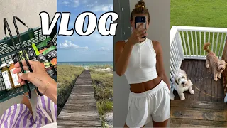 Florida Vlog: week in my life + huge clothing haul + spending time with family