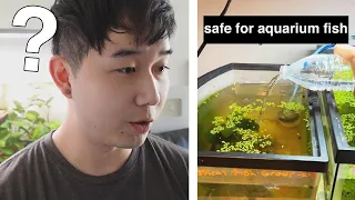 let's BUST these aquarium myths | Fish Tank Review 251