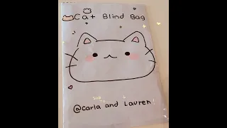 Cat blind bag! Cat 🐱 Idea from @theroannechannel8326 !