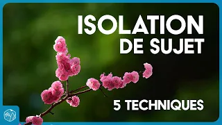 Subject isolation: 5 composition techniques - flowers of Korea