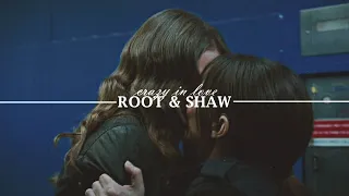 Root & Shaw || crazy in love