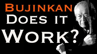 Bujinkan Martial Arts: Do They Work