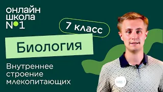 Внутреннее строение млекопитающих. Видеоурок 28. Биология 7 класс