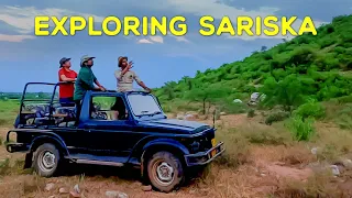 Exploring Sariska Tiger Reserve 2023 (Vanbagh Sariska) - 4K Video Hindi