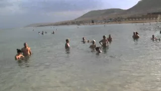 мёртвое море 2012г
