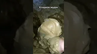 кладмен мудак