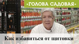 Голова садовая - Как избавиться от щитовки