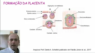 Gravidez e lactação