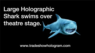 Large Shark Hologram