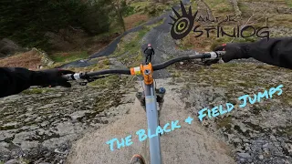 Antur Stiniog // The Black & Field Jumps