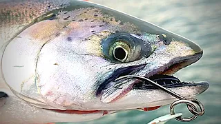 BLACKMOUTH | Washington's Winter Salmon!