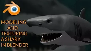 modeling and texturing a shark in Blender