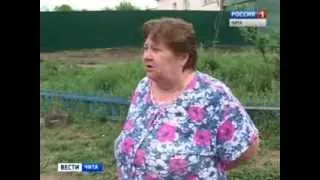 В одном из дворов Читы убили приблудную собаку