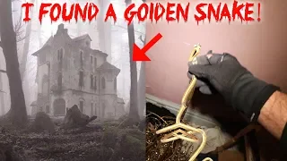 I FOUND GOLDEN SNAKES IN A ABANDONED HAUNTED HOUSE // WHAT ITS LIKE IN A HOARDERS HOUSE | MOE SARGI