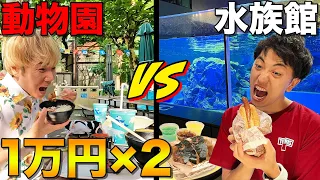 どっちが先に１万円分の料理食べ切ることができるか？【動物園】【水族館】