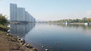 Красноярский альбатрос Октябрь 2023
