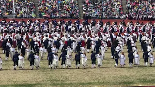 Parte 22 - Festival Laulupidu 2019 - Tallinn - Estônia