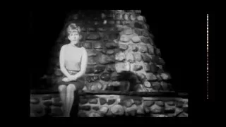 Lesley Gore  - You Don't Own Me (1964)(stereo)